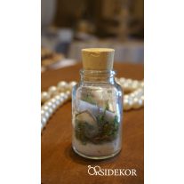 Üzenet a palackban, parafadugóval mohával