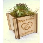 Kövirózsa tartó köszönetajándék 