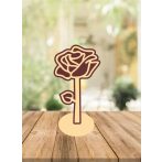 pedagógus ajándék tanároknak ballagási ajándék gravírozott tolltartó