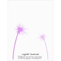 pedagógus ajándék tanároknak ballagási ajándék gravírozott tolltartó