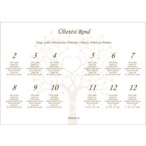   Esküvői ültetési rend családfás - tervezési díj nélkül