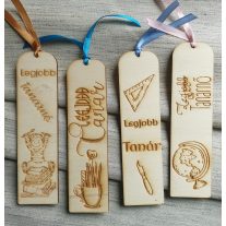 pedagógus ajándék tanároknak ballagási ajándék gravírozott tolltartó