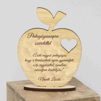 pedagógus ajándék tanároknak ballagási ajándék gravírozott tolltartó