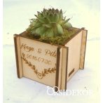 Kövirózsa köszönetajándék fa kockában greenery
