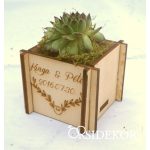 Kövirózsa köszönetajándék fa kockában greenery