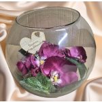 Szülőköszöntő virágbox elegáns orchideás