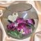Szülőköszöntő virágbox elegáns orchideás