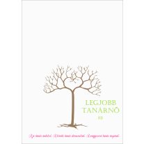 pedagógus ajándék tanároknak ballagási ajándék gravírozott tolltartó