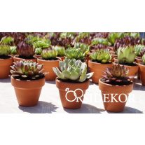  Alkalmak, szezonális ajándék