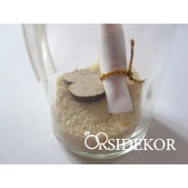 Üzenet a palackban, parafadugóval