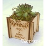 Kövirózsa köszönetajándék fa kockában Kövirózsa köszönetajándék fa kockában