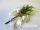 Cukrozott mandula virág 5 szem mandulával