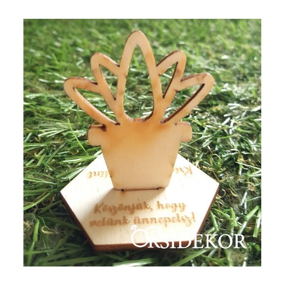 Kövirózsa fa köszönetajándék és ültetőkártya 2 az 1-ben