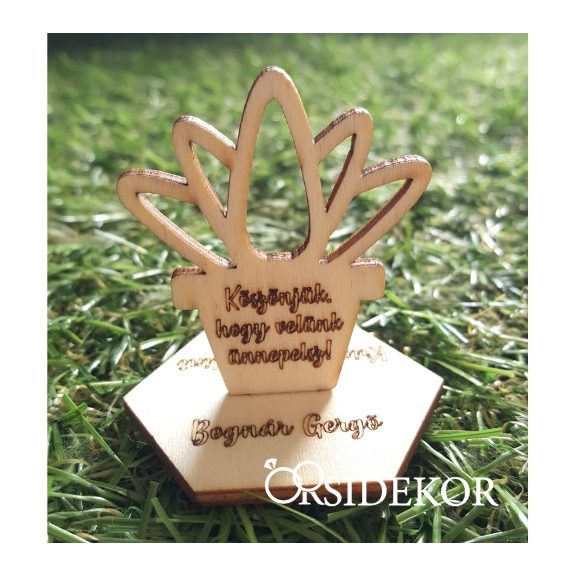 Kövirózsa fa köszönetajándék és ültetőkártya 2 az 1-ben