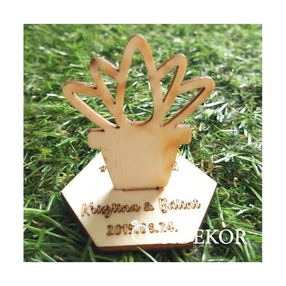 Kövirózsa fa köszönetajándék és ültetőkártya 2 az 1-ben