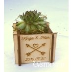 Kövirózsa tartó köszönetajándék 