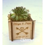 Kövirózsa tartó köszönetajándék 