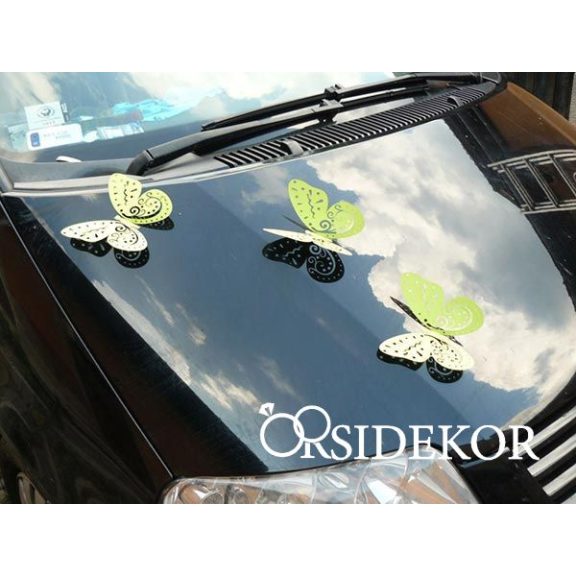 Esküvői pillangó dekoráció