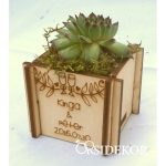 Kövirózsa tartó köszönetajándék 