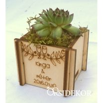 Kövirózsa tartó köszönetajándék 