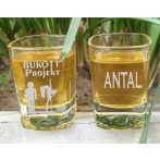 Legénybúcsú feles pohár gravírozva_vicces