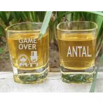 Legénybúcsú feles pohár gravírozva _ GAME OVER