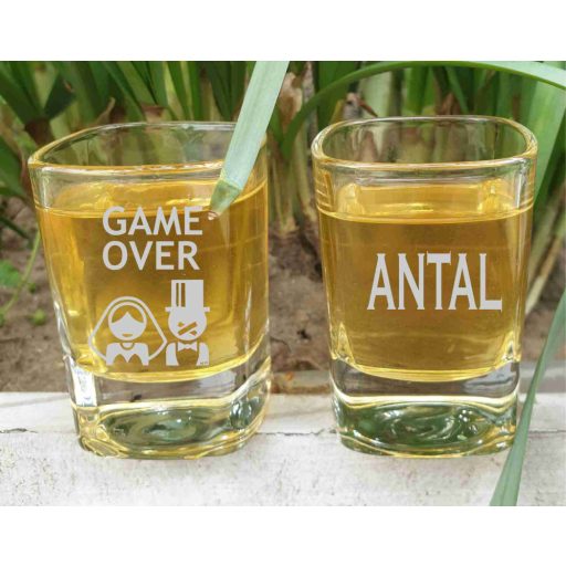 Legénybúcsú feles pohár gravírozva _ GAME OVER