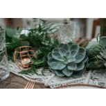 GREENERY kollekció GREENERY kollekció